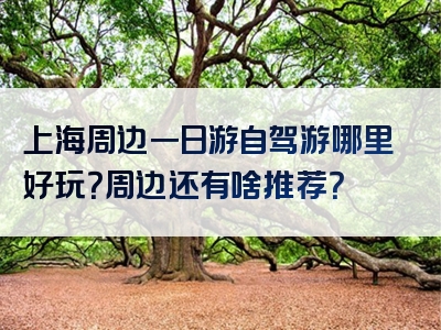 上海周边一日游自驾游哪里好玩？周边还有啥推荐？