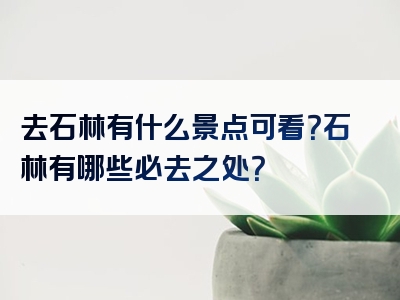 去石林有什么景点可看？石林有哪些必去之处？