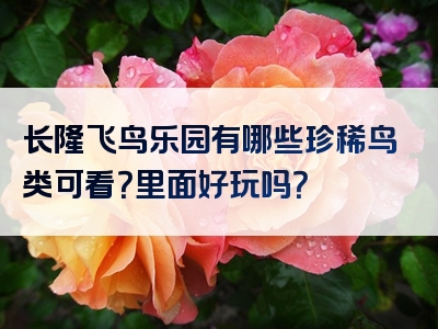 长隆飞鸟乐园有哪些珍稀鸟类可看？里面好玩吗？