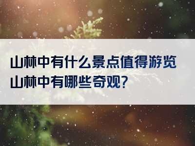 山林中有什么景点值得游览山林中有哪些奇观？