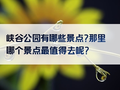 峡谷公园有哪些景点？那里哪个景点最值得去呢？