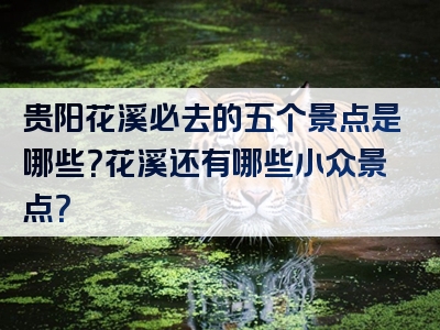 贵阳花溪必去的五个景点是哪些？花溪还有哪些小众景点？
