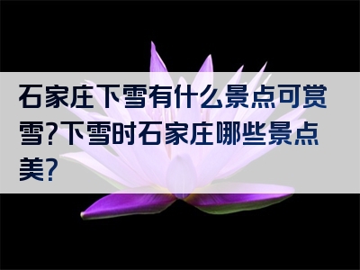 石家庄下雪有什么景点可赏雪？下雪时石家庄哪些景点美？