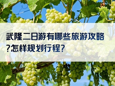 武隆二日游有哪些旅游攻略？怎样规划行程？