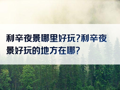 利辛夜景哪里好玩？利辛夜景好玩的地方在哪？