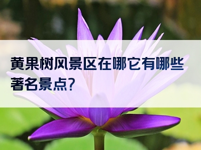 黄果树风景区在哪它有哪些著名景点？