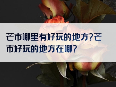 芒市哪里有好玩的地方？芒市好玩的地方在哪？