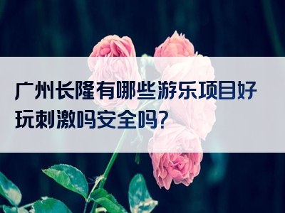 广州长隆有哪些游乐项目好玩刺激吗安全吗？