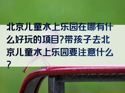 北京儿童水上乐园在哪有什么好玩的项目？带孩子去北京儿童水上乐园要注意什么？