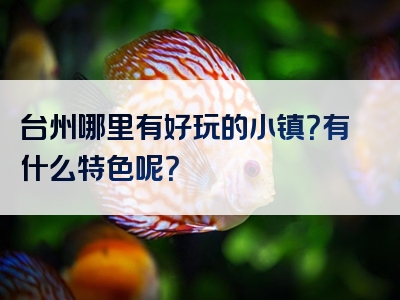 台州哪里有好玩的小镇？有什么特色呢？