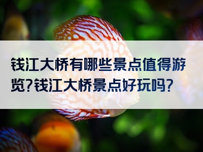 钱江大桥有哪些景点值得游览？钱江大桥景点好玩吗？