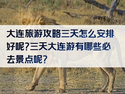大连旅游攻略三天怎么安排好呢？三天大连游有哪些必去景点呢？