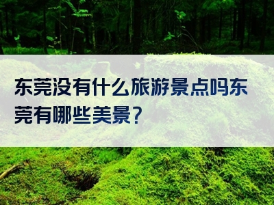 东莞没有什么旅游景点吗东莞有哪些美景？