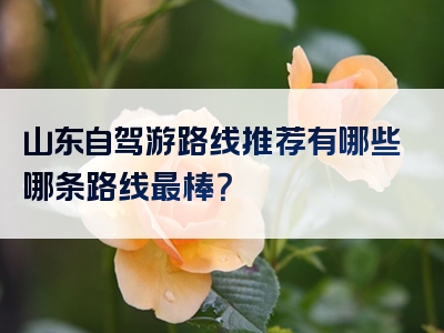 山东自驾游路线推荐有哪些哪条路线最棒？