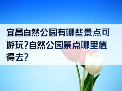 宜昌自然公园有哪些景点可游玩？自然公园景点哪里值得去？
