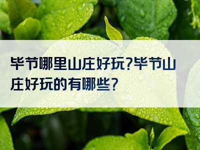 毕节哪里山庄好玩？毕节山庄好玩的有哪些？