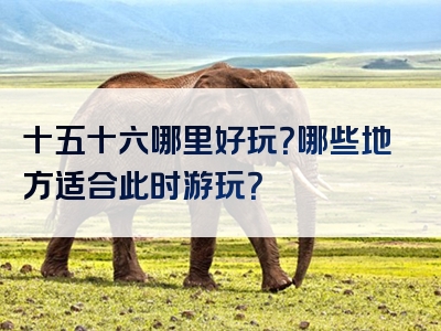 十五十六哪里好玩？哪些地方适合此时游玩？