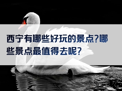 西宁有哪些好玩的景点？哪些景点最值得去呢？