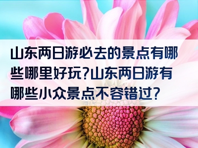 山东两日游必去的景点有哪些哪里好玩？山东两日游有哪些小众景点不容错过？