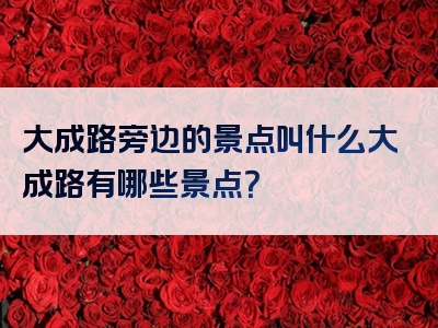 大成路旁边的景点叫什么大成路有哪些景点？