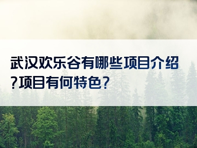 武汉欢乐谷有哪些项目介绍？项目有何特色？