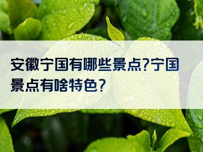 安徽宁国有哪些景点？宁国景点有啥特色？
