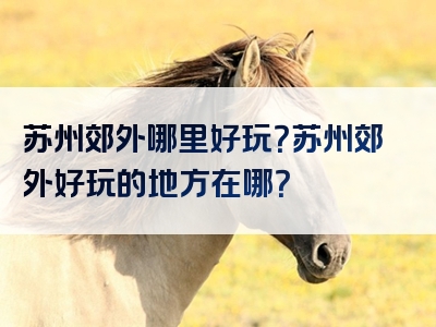 苏州郊外哪里好玩？苏州郊外好玩的地方在哪？