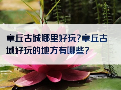 章丘古城哪里好玩？章丘古城好玩的地方有哪些？