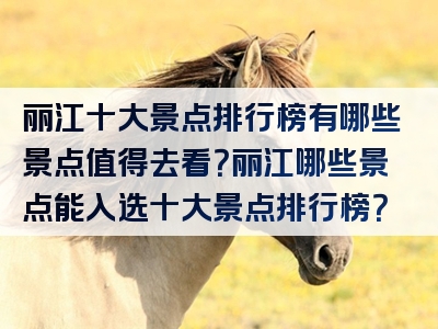 丽江十大景点排行榜有哪些景点值得去看？丽江哪些景点能入选十大景点排行榜？