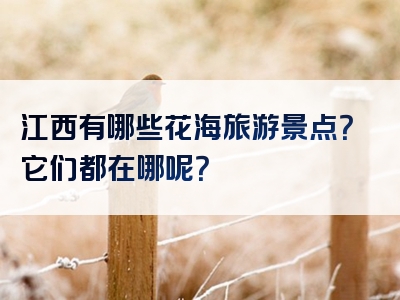 江西有哪些花海旅游景点？它们都在哪呢？