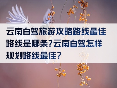 云南自驾旅游攻略路线最佳路线是哪条？云南自驾怎样规划路线最佳？