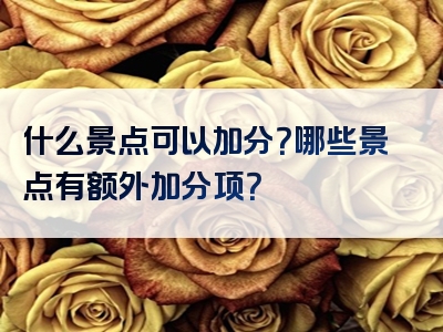 什么景点可以加分？哪些景点有额外加分项？