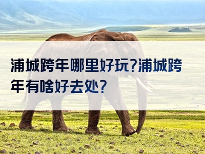 浦城跨年哪里好玩？浦城跨年有啥好去处？
