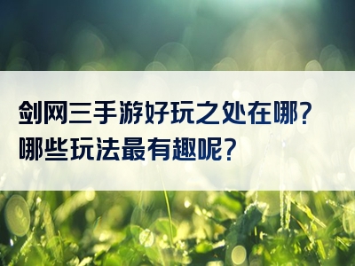 剑网三手游好玩之处在哪？哪些玩法最有趣呢？