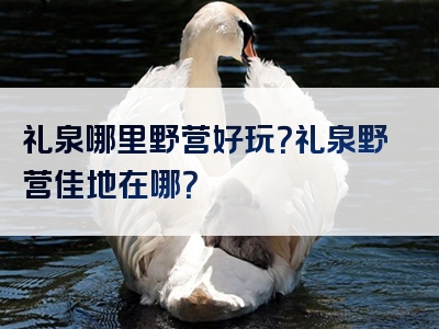礼泉哪里野营好玩？礼泉野营佳地在哪？