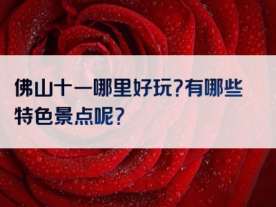 佛山十一哪里好玩？有哪些特色景点呢？