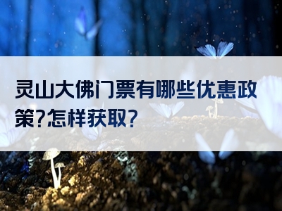 灵山大佛门票有哪些优惠政策？怎样获取？