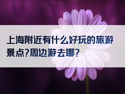 上海附近有什么好玩的旅游景点？周边游去哪？