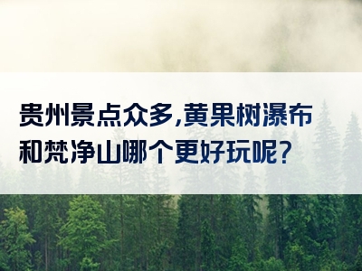 贵州景点众多，黄果树瀑布和梵净山哪个更好玩呢？