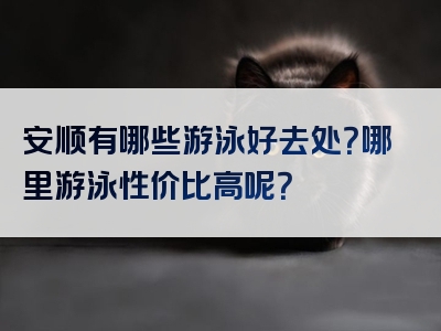 安顺有哪些游泳好去处？哪里游泳性价比高呢？