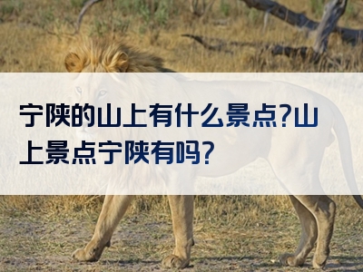 宁陕的山上有什么景点？山上景点宁陕有吗？