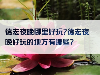 德宏夜晚哪里好玩？德宏夜晚好玩的地方有哪些？