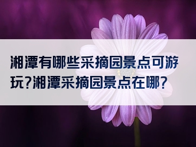 湘潭有哪些采摘园景点可游玩？湘潭采摘园景点在哪？