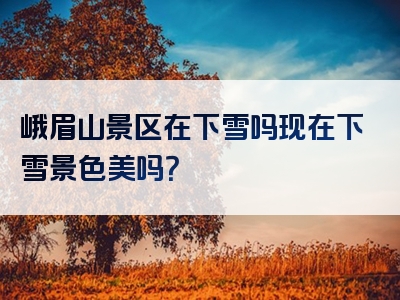峨眉山景区在下雪吗现在下雪景色美吗？