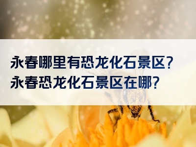 永春哪里有恐龙化石景区？永春恐龙化石景区在哪？