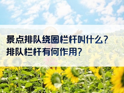 景点排队绕圈栏杆叫什么？排队栏杆有何作用？