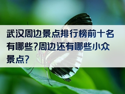 武汉周边景点排行榜前十名有哪些？周边还有哪些小众景点？
