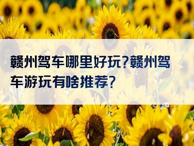 赣州驾车哪里好玩？赣州驾车游玩有啥推荐？