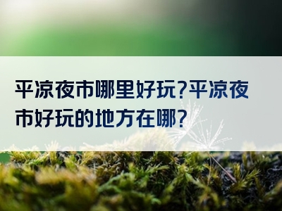 平凉夜市哪里好玩？平凉夜市好玩的地方在哪？