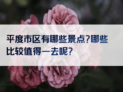 平度市区有哪些景点？哪些比较值得一去呢？